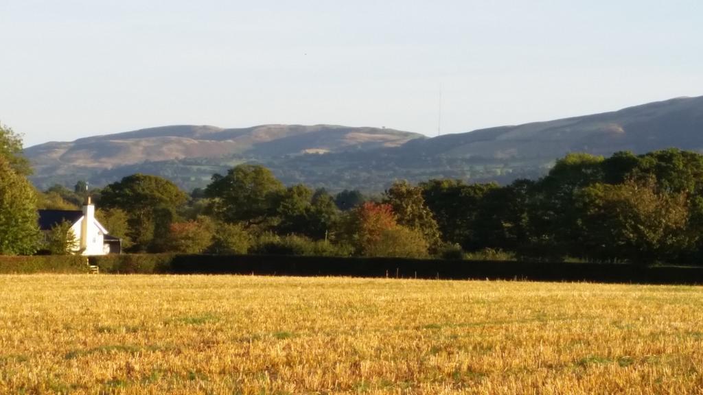 Ty Derw Country House B&B Ruthin Bagian luar foto