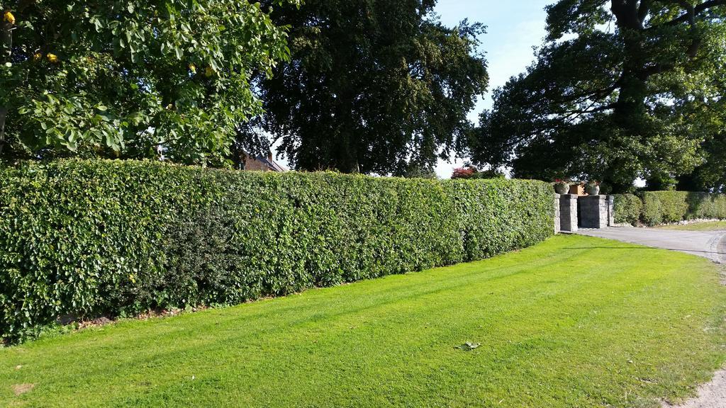 Ty Derw Country House B&B Ruthin Bagian luar foto