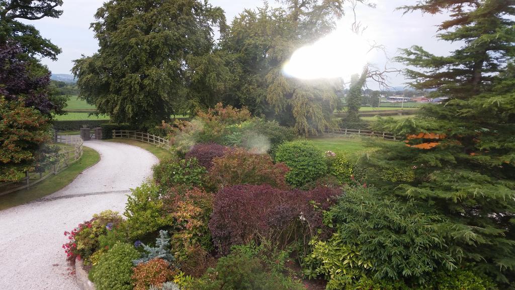 Ty Derw Country House B&B Ruthin Ruang foto